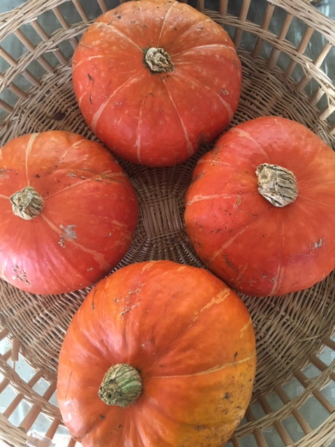 Seizoensverlenging winter